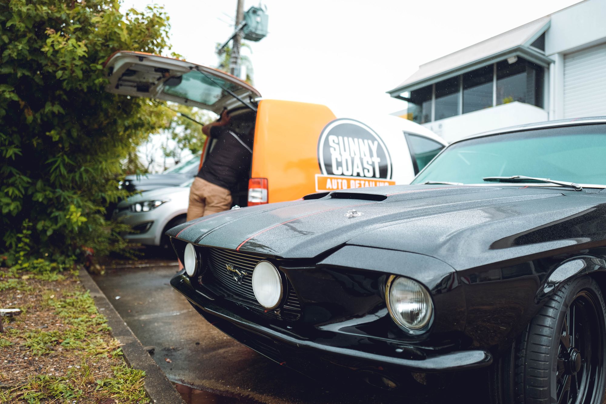 Black 1968 Ford Mustang · Sunny Coast Auto Detailing featured project · Sunshine Coast QLD
